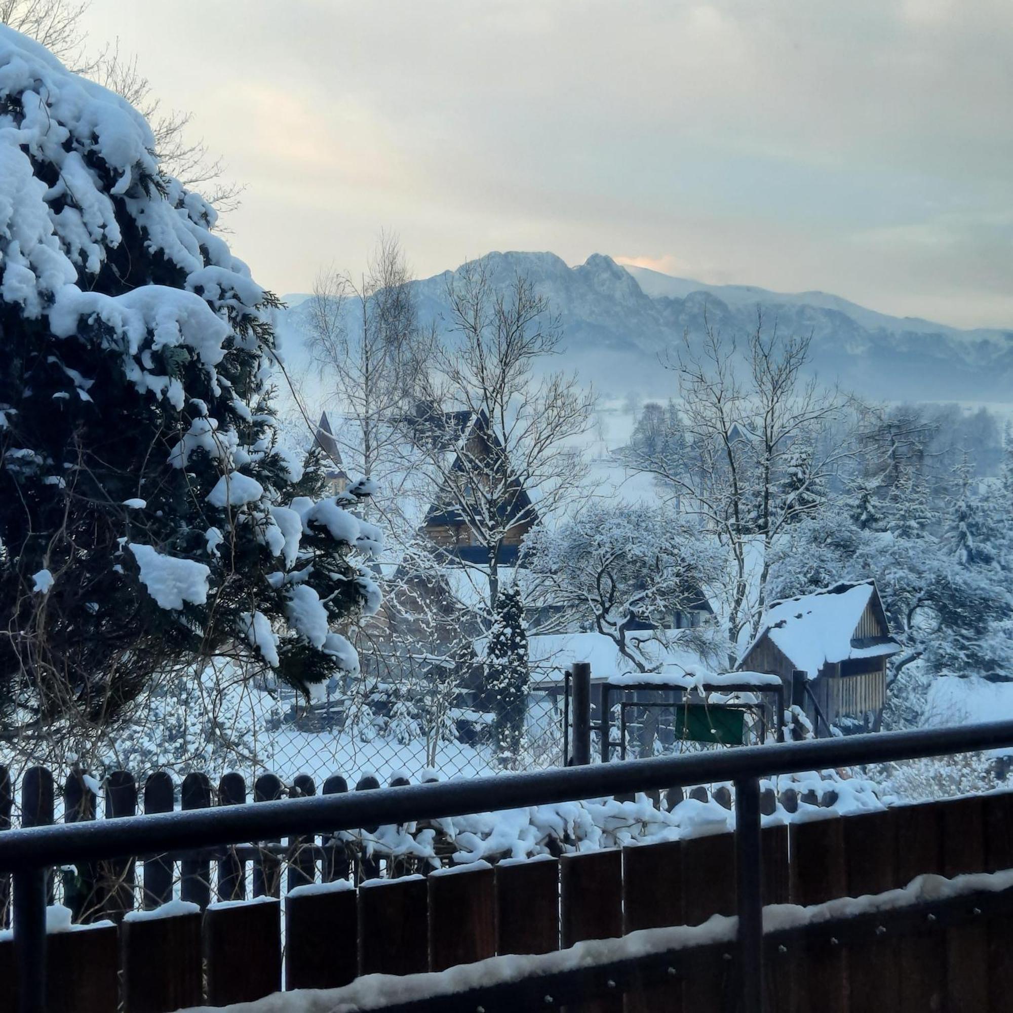 Willa U Bzyka Zakopane Exteriör bild
